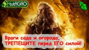 ВРАГИ ОГОРОДА, ТРЕПЕЩИТЕ! АИДИС - самый страшный кошмар БОЛЕЗНЕЙ и ВРЕДИТЕЛЕЙ ваших любимых растений
