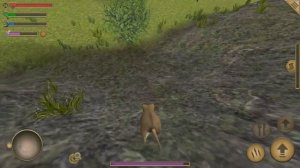 ПРОГУЛКА С СЫНОМ МЫШОНКОМ СЫРОК Игра Симулятор мыши #6