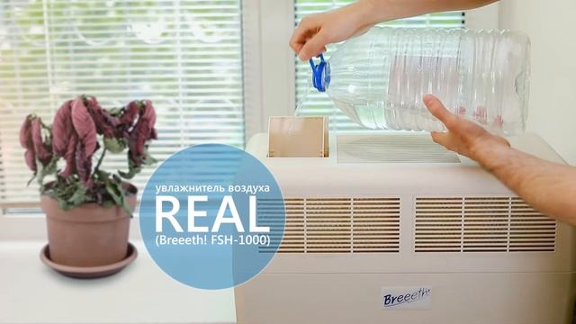 Real — живительная влага! смотреть онлайн