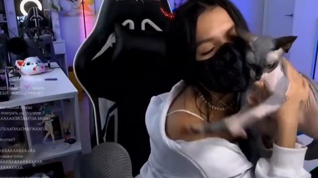 КОШКА АМИНЫ СНЯЛА С НЕЁ МАСКУ ВО ВРЕМЯ СТРИМА смотреть онлайн