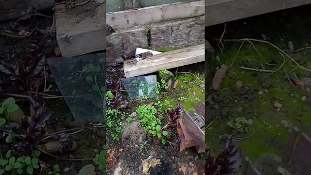 БУБОФОНЯ НА ПЕЛЛЕТАХ смотреть онлайн