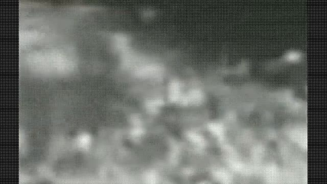 Giant Anaconda vs Felidae Python vs Lion -der ganzer film kostenlos anschauen Deustch смотреть онлайн