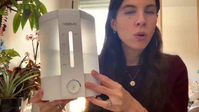 Cómo dar más humedad a nuestras plantas: hablamos humidificadores y otros métodos смотреть онлайн