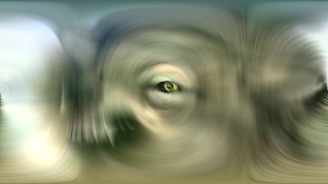 Спляши,я спою