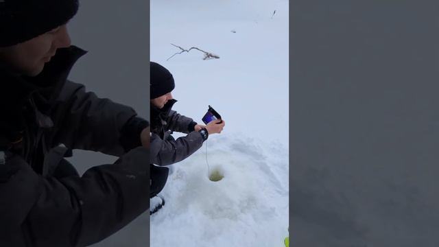 выходной на реке #fishing #снегоход #зима #отдых смотреть онлайн