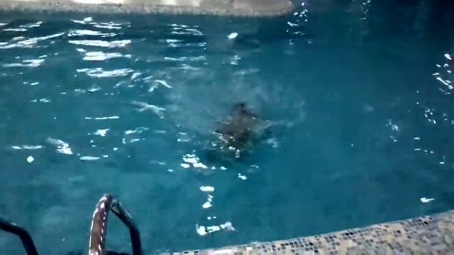 Купаемся в Бассейне на Фоке