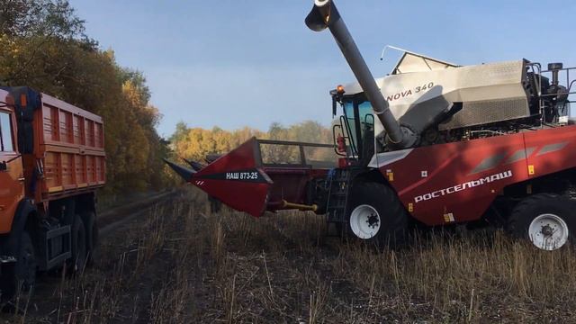 Уборка подсолнечника 2020. Комбаин NOVA 340 смотреть онлайн
