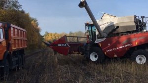 Уборка подсолнечника 2020. Комбаин NOVA 340