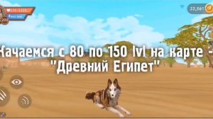 КАК БЫСТРО ПРОКАЧАТЬСЯ ДО 200 LVL'А?! | самая быстрая прокачка до 200 lvl'а | WildCraft | WelS