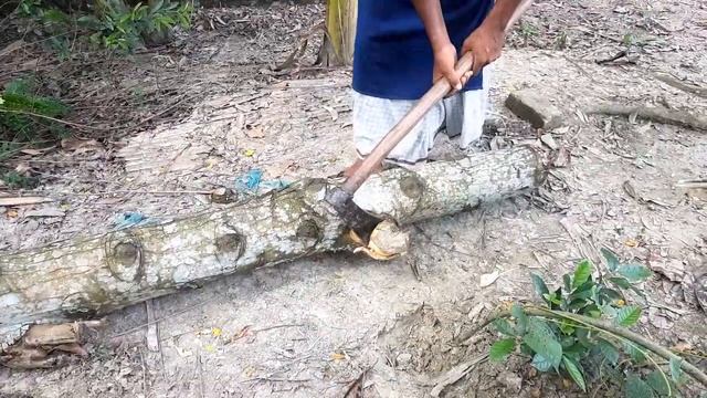 Amazing tree cutting | small size tree| ply board making for tree| hand cutter village factory смотреть онлайн