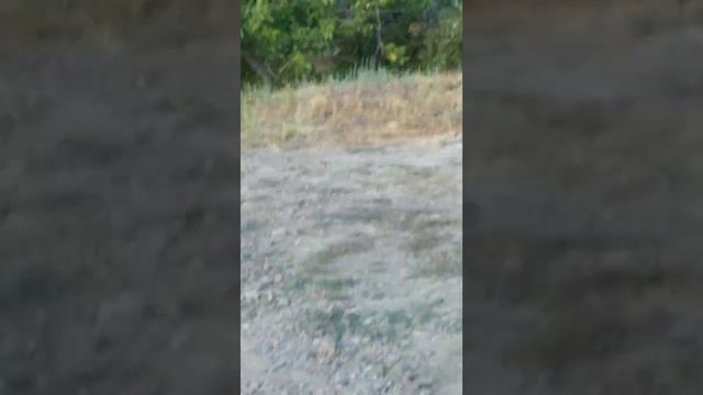 рум тур дачи друзей 1я часть смотреть онлайн