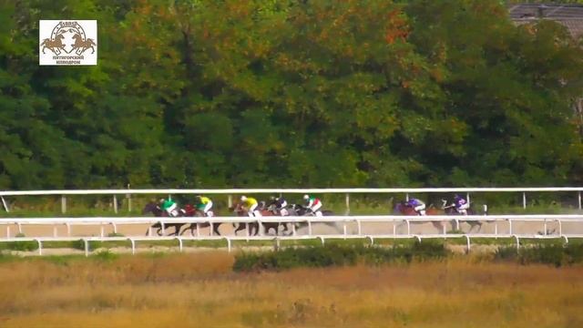 28.08.2022 - Приз А.М. Клюковского на кобылах 2-х лет чистокровной верховой породы - Радоница смотреть онлайн