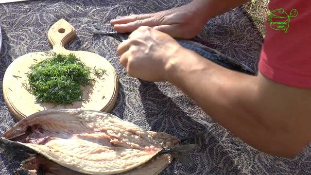 Как быстро выпотрошить скумбрию / How to quickly gut mackerel смотреть онлайн