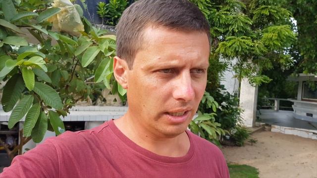 Автобусы на Шри Ланке. Crazy Bus смотреть онлайн