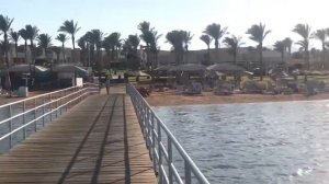 Rixos Seagate Sharm 5* Delux Обзор отеля Риксос Сигейт Шарм Египет