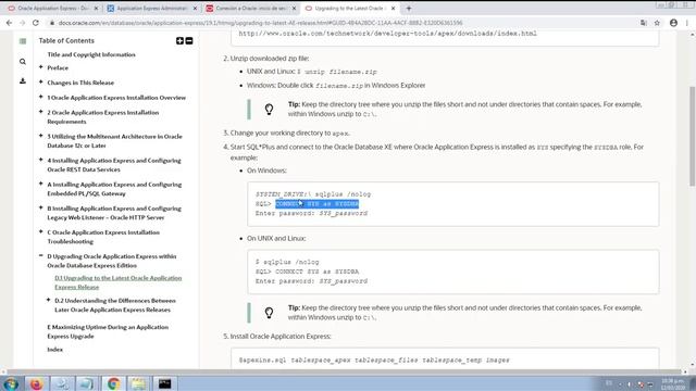 Actualizar Oracle APEX 18 a 19 смотреть онлайн