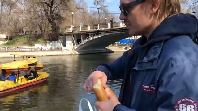 ??VLOG??ПАРК. ОГРОМНЫЕ СОМЫ В ОЗЕРЕ. //a park //huge catfish//lake смотреть онлайн