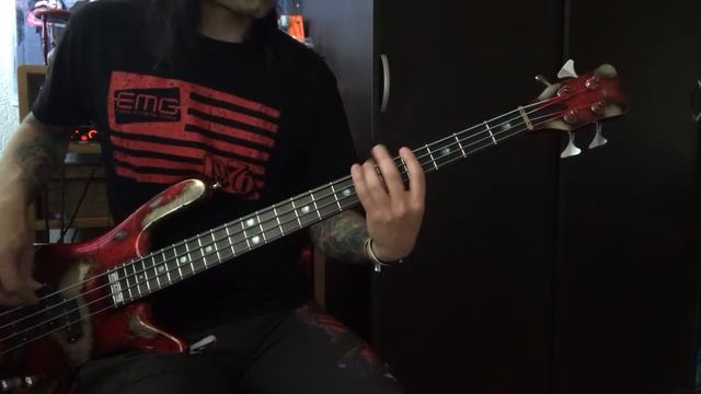 Annodomini - Небо надо мной (Bass Playthrough) смотреть онлайн