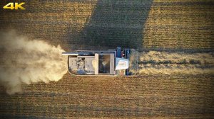 Комбайны Акрос 530 на подборе двойных валков пшеницы с измельчением