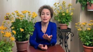 КАЛАНХОЭ не цветет.. что делать? и другие вопросы