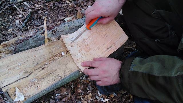 Посуда из бересты. (Если забыл дома)Выживание.Bushcraft tableware. смотреть онлайн