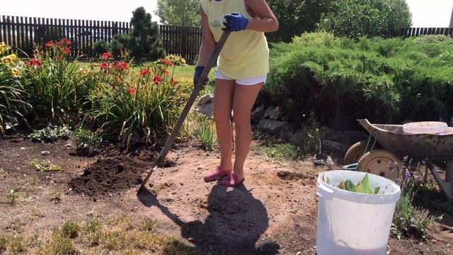 Посадка ЦВЕТОВ | Cамый ПРОСТОЙ способ | Сажаю Ирисы смотреть онлайн