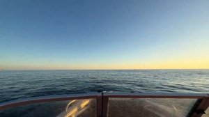 Отдых с лодкой Тактика 390 ДС на черном море