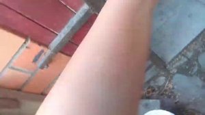 Цыплята Ломан Браун и Редбро три недели