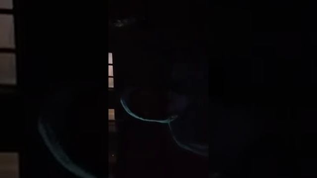 Как помочь человеку с одной почкой... смотреть онлайн