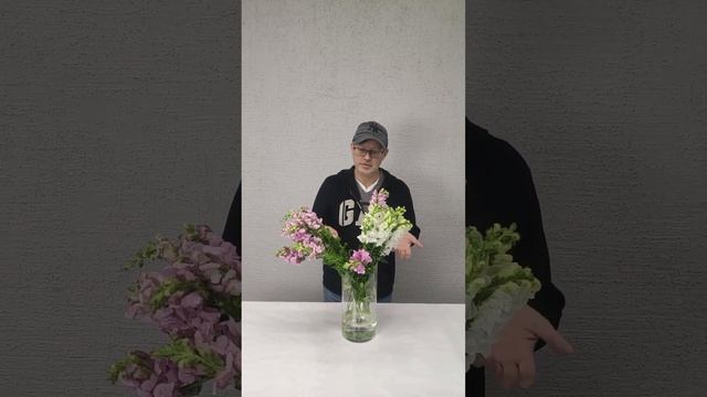 Антирринум - Львиный зев . полезные советы для флористов и садоводов смотреть онлайн