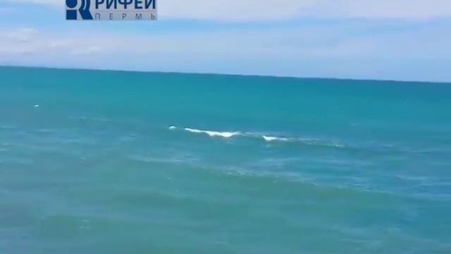 Привет, Пермь! Крайстчерч Новая Зеландия смотреть онлайн