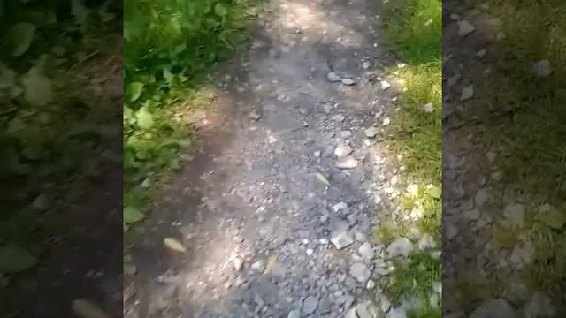 Я и Катя/VLOG:ПОМ-ПОНЧИК))) смотреть онлайн