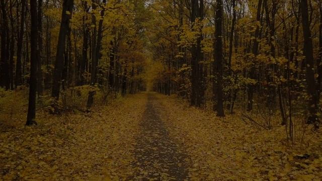 "The Road Not Taken" Song for Robert Frost's Poem | Memorize "Two Roads Diverged In a Yellow Wood" смотреть онлайн