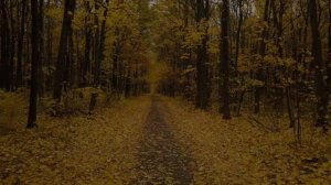 "The Road Not Taken" Song for Robert Frost's Poem | Memorize "Two Roads Diverged In a Yellow Wood"