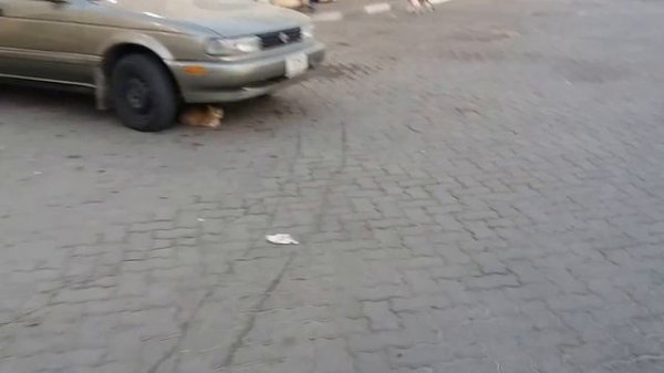 Khor Fakkan l khorfakkan Fish Market l Fishing Boat l Boat Petrol Pump l Fujairah l UAE