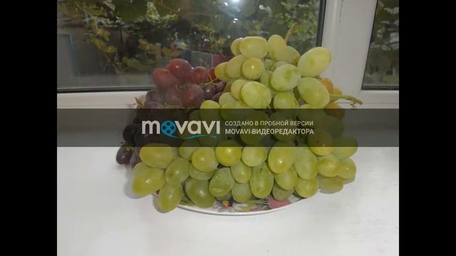 Виноград 2018 (Нарезки) смотреть онлайн