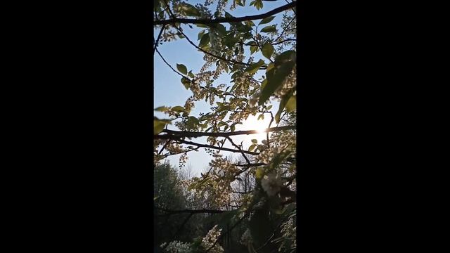 Стихи Ларисы Струиной 4 смотреть онлайн