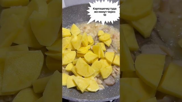 #картошкасгрибами самый лучший сезонный ужин!