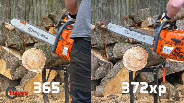 Husqvarna 365 Vs Husqvarna 372XP