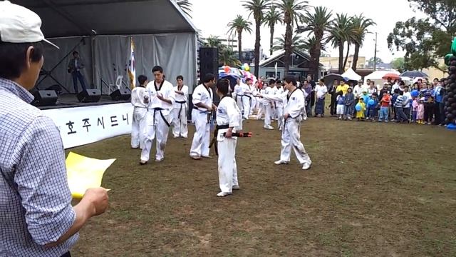 Hwa-Rang Do Demonstration смотреть онлайн