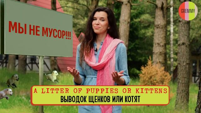 ✅𝐂𝐨𝐥𝐥𝐞𝐜𝐭𝐢𝐯𝐞 𝐧𝐨𝐮𝐧𝐬➖Собирательные существительные смотреть онлайн
