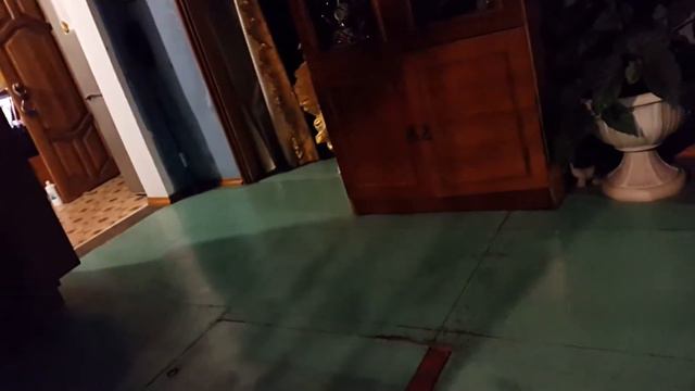 Шижня)) смотреть онлайн