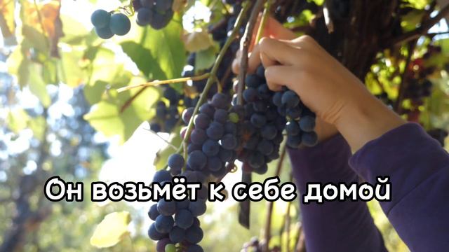 Иисусу посвящаю детские свои года. ПЛЮС. семья Сальниковы. #христианскиепесни смотреть онлайн