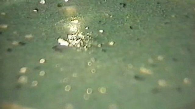 ДВИЖЕНИЕ КАМФАРЫ НА ВОДЕ.ФИЗИКА.ХРОНИКА смотреть онлайн