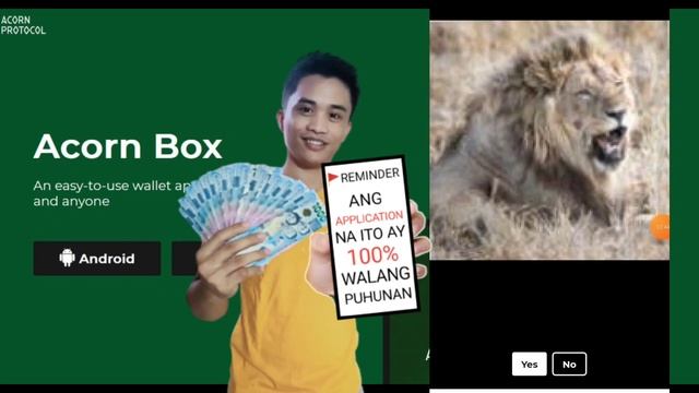 Free to earn from ACORN BOX | pili kalang ng YES or No pwede kana kumita ng pera |Full review смотреть онлайн