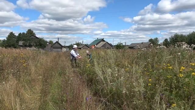 Секреты лечебной полыни смотреть онлайн