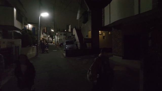 Япония • Ночная прогулка по Токио в Сангенджая смотреть онлайн