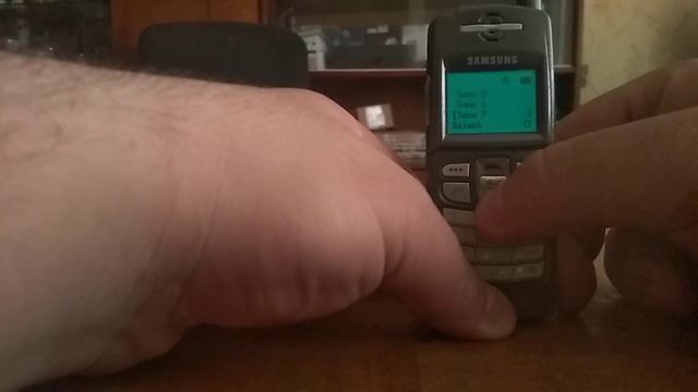 Обзор на SAMSUNG SGH-N100