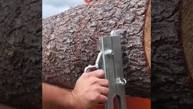 Мобильная лесопилка в деле смотреть онлайн