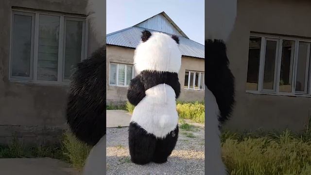 Панда. Дискотека из 90-х. смотреть онлайн